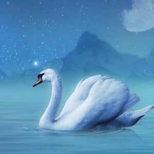 Lac des Cygnes