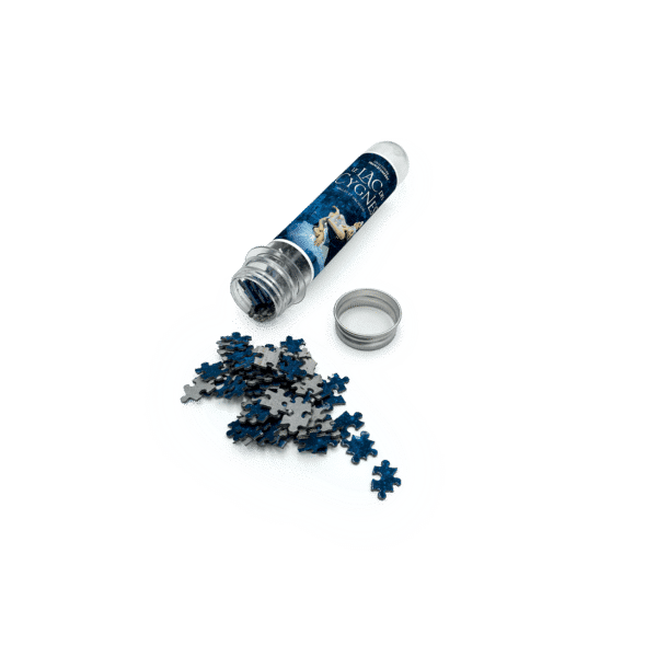 puzzle LC 2
